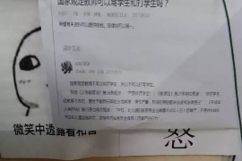 神农架为什么选择专业追讨公司来处理您的债务纠纷？